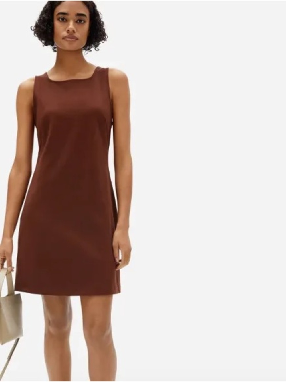EVERLANE Sleeveless Dress in Chocolate Brown